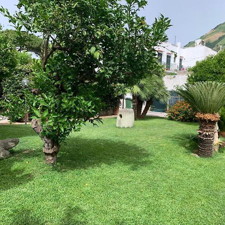 Garden Apartments Ischia Bilocale Super Centrale Forio di Ischia Buitenkant foto