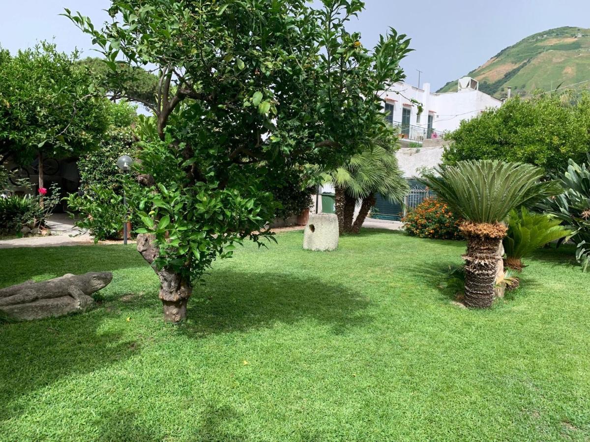 Garden Apartments Ischia Bilocale Super Centrale Forio di Ischia Buitenkant foto